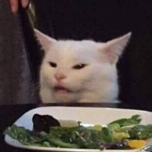 Meet your Posher, Kaiya